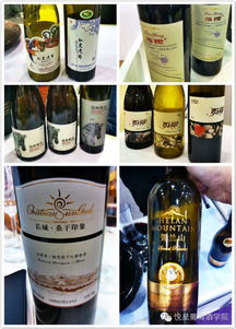 世葡會(huì)中國(guó)葡萄酒之聲 精品化釀酒思維