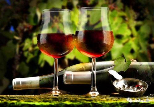 葡萄酒 和 紅酒 有哪些區別