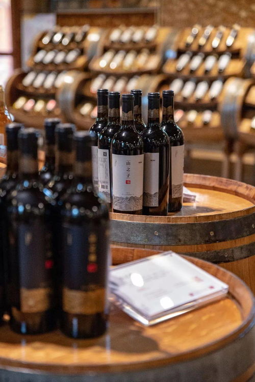 1037 祖國(guó)那么大,一起來寧夏,看星星 品紅酒,給心靈放個(gè)假 賀蘭山