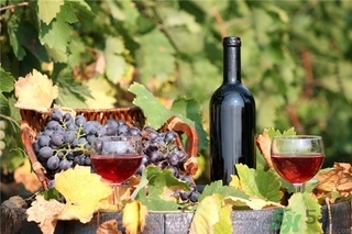 葡萄酒為什么要醒酒?葡萄酒醒酒的方法