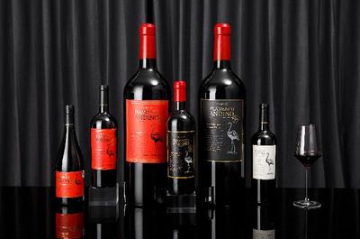 微醺之戰號角已響，醉鵝娘獲數千萬元A輪融資，推動葡萄酒行業創新