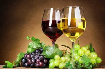 葡萄酒的魅力 探索歷史、文化與品鑒藝術